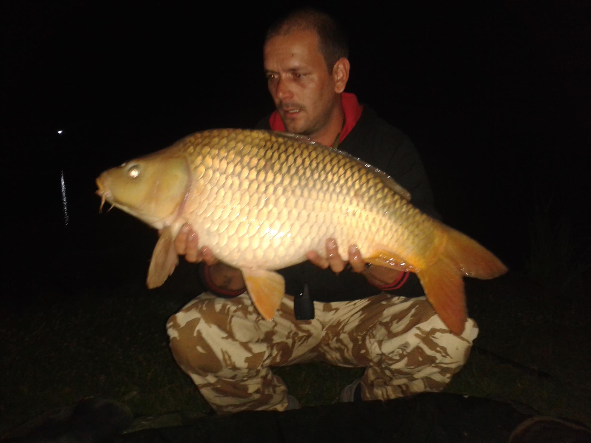  2 - 20140804230655.jpg